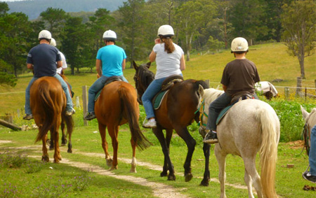 horseriding big